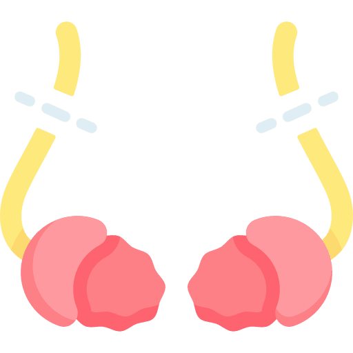 vasectomia en urologia